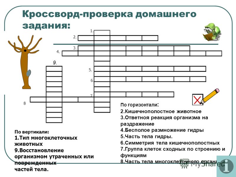 Кракен даркнет krawebes